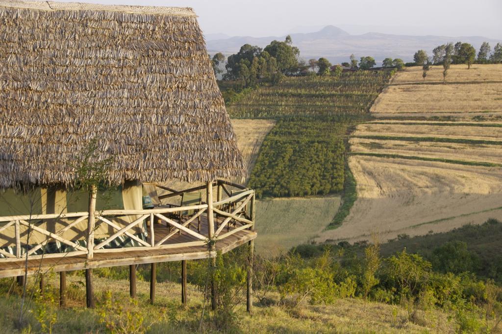 Rhotia Valley Tented Lodge And Children'S Home Karatu Pokój zdjęcie